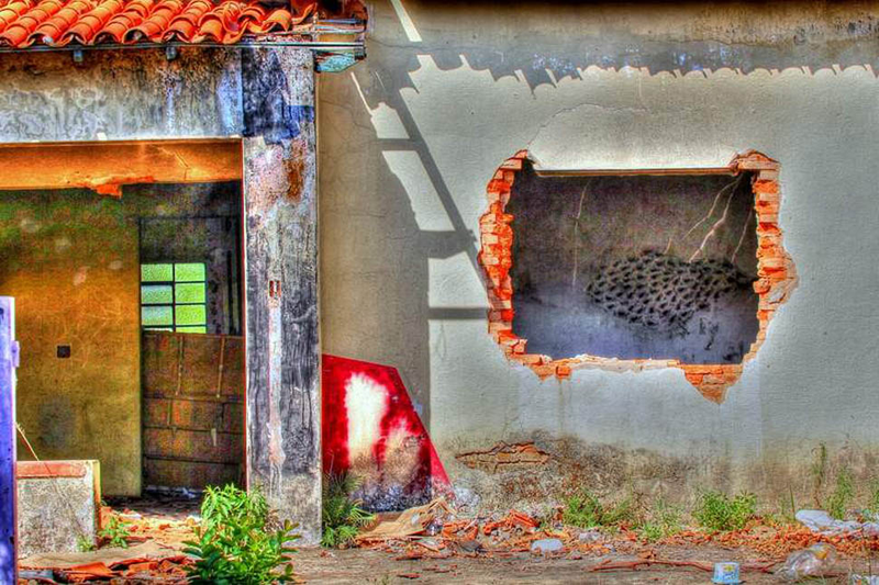 Illustration for article titled Shooting Challenge: Urban Decay 3